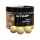 HiCARP PIXY POP UPS 16mm (35db) - Lebegő Horogcsali - CarpHunter