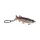 IRON CLAW Beauty Pike-Hecht Keychain kulcstartó - CarpHunter