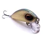 DOIYO Risu 44 WFG / 4,4cm / 4,6g / merülés 0,5-1,2m - CarpHunter