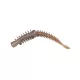DOIYO S'zuki Ribu Worm 80 ASH / 8db csomag
