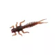 DOIYO S'zuki Tonbo Larva 60 MO / 6db
