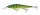 DOIYO  Apollo Reed suspending UV 110mm GP - CarpHunter