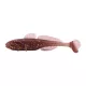 IRON CLAW Gobody AMB 11cm