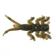 IRON CLAW Drop Stuff Larva WM 2,5cm / 31db