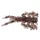 IRON CLAW Drop Stuff Larva WB 2,5cm / 31db