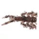 IRON CLAW Drop Stuff Larva WB 2,5cm / 31db