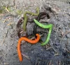 IRON CLAW Drop Stuff Crawler CH 7,5cm / 22db