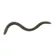 IRON CLAW Drop Stuff Crawler WM 7,5cm / 22db