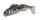 IRON CLAW 3D Clone Goby Grundel PB