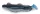 IRON CLAW Barsch & Zander Wave Glider RWF 16cm / 3db