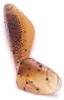 Iron Claw Belly Boy BP 7,5cm