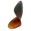 Iron Claw Belly Boy MO 10cm