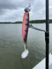 IRON CLAW Just Shad RPE Real Perch UV 10cm