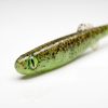 Bite On Anchovy Kivi