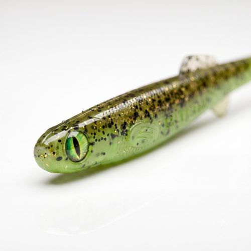 Bite On Anchovy Kivi