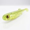 Bite On Anchovy Green Rose