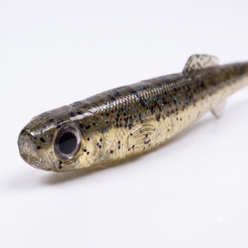 Bite On Anchovy Elektrik
