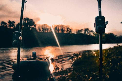 CarpSounder CATSOUNDER ONE - kapásjelző 4+1 szett