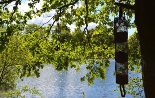 Trakker Air-Dry Tower - Bojliszárító 3in1