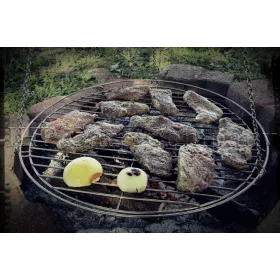 ICC Grilladapter - CarpHunter