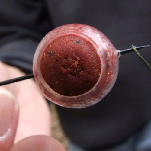 Gardner Hard Ball Bait Saver small  - bojlivédő fehér halak ellen - CarpHunter