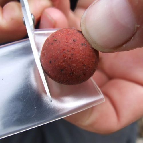 Gardner Hard Ball Bait Saver large  - bojlivédő fehér halak ellen