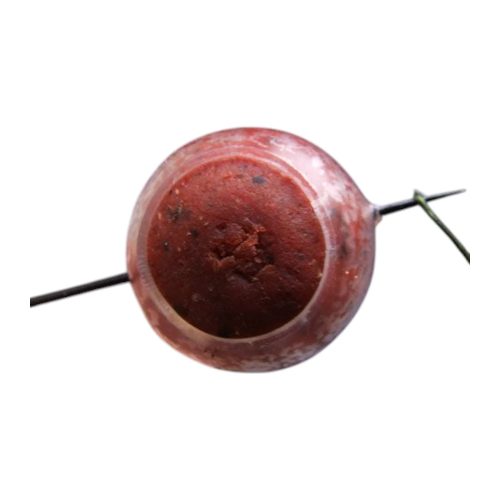 Gardner Hard Ball Bait Saver large  - bojlivédő fehér halak ellen