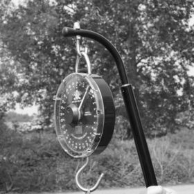 Cygnet Easylift Weigh Hook - mérlegekő kampó