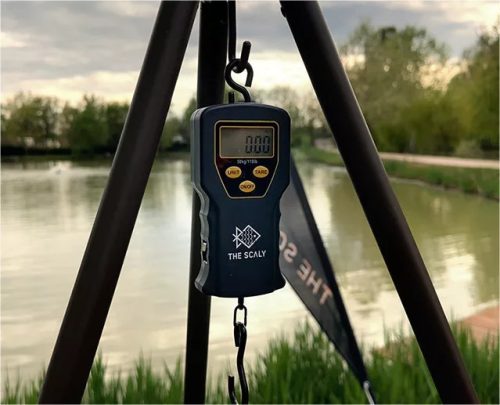 The Scaly okosmérleg applikációval