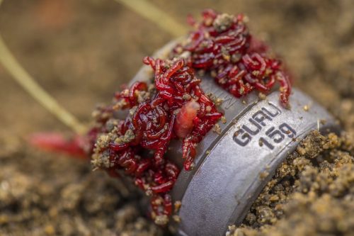 Guru X-Change Distance feeder cage medium