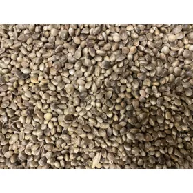 Hemp - száraz kendermag 1kg - CarpHunter