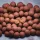 Nutrabaits Bojli 1kg Energize 15mm - CarpHunter