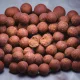Nutrabaits Bojli 1kg Energize 15mm - CarpHunter