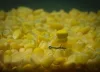 ROK MAIZE Natural yellow - natur sárga gumi kukorica - Balanszírozott - CarpHunter