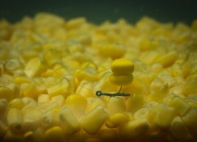 ROK MAIZE Natural yellow - natur sárga gumi kukorica - Balanszírozott