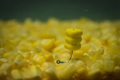 ROK TRIPLE CORN Natural yellow - natur sárga tripla gumi kukorica - Ultra Pop up - CarpHunter