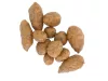 ROK TIGER NUTS - Tigrismogyoró - Perfect balance - CarpHunter