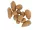 ROK TIGER NUTS - Tigrismogyoró - Perfect balance - CarpHunter