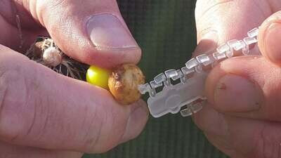 ROK EXTEN csali stopper M - Clear