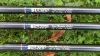 TICA STRONG CARP - 3,6m - 3,0lb - CarpHunter
