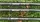 TICA STRONG CARP - 3,6m - 3,0lb - CarpHunter