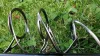 TICA STRONG CARP - 3,9m - 3,5lb - CarpHunter
